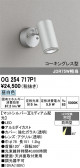 ODELIC �����ǥ�å� LED �������ƥꥢ�饤�� OG254717P1
