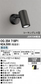 ODELIC �����ǥ�å� LED �������ƥꥢ�饤�� OG254719P1