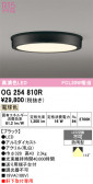 ODELIC �����ǥ�å� LED �������ƥꥢ�饤�� OG254810R