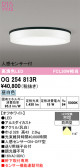 ODELIC �����ǥ�å� LED �������ƥꥢ�饤�� OG254813R