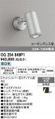 ODELIC �����ǥ�å� LED �������ƥꥢ�饤�� OG254849P1
