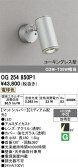 ODELIC �����ǥ�å� LED �������ƥꥢ�饤�� OG254850P1