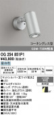 ODELIC �����ǥ�å� LED �������ƥꥢ�饤�� OG254851P1