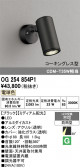 ODELIC �����ǥ�å� LED �������ƥꥢ�饤�� OG254854P1