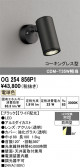 ODELIC �����ǥ�å� LED �������ƥꥢ�饤�� OG254856P1