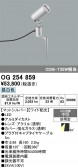 ODELIC �����ǥ�å� LED �������ƥꥢ�饤�� OG254859