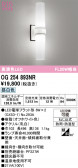 ODELIC �����ǥ�å� LED �������ƥꥢ�饤�� OG254893NR
