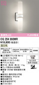 ODELIC �����ǥ�å� LED �������ƥꥢ�饤�� OG254893WR
