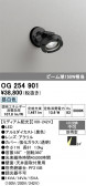 ODELIC �����ǥ�å� LED �������ƥꥢ�饤�� OG254901