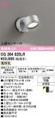 ODELIC �����ǥ�å� LED �������ƥꥢ�饤�� OG264025LR