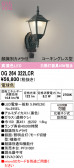 ODELIC �����ǥ�å� LED �������ƥꥢ�饤�� OG264322LCR