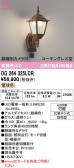 ODELIC �����ǥ�å� LED �������ƥꥢ�饤�� OG264325LCR