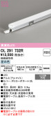 ODELIC �����ǥ�å� LED �����Ѵ��ܾ��� OL291732R