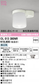 ODELIC �����ǥ�å� LED ����������󥰥饤�� OL013380NR