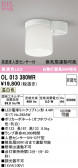 ODELIC �����ǥ�å� LED ����������󥰥饤�� OL013380WR