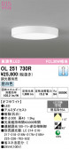 ODELIC �����ǥ�å� LED ����������󥰥饤�� OL251730R