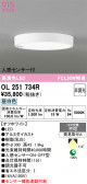 ODELIC �����ǥ�å� LED ����������󥰥饤�� OL251734R