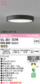 ODELIC �����ǥ�å� LED ����������󥰥饤�� OL251737R
