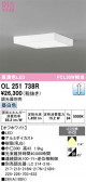 ODELIC �����ǥ�å� LED ����������󥰥饤�� OL251738R