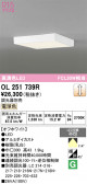 ODELIC �����ǥ�å� LED ����������󥰥饤�� OL251739R
