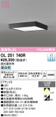 ODELIC �����ǥ�å� LED ����������󥰥饤�� OL251740R