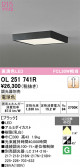 ODELIC �����ǥ�å� LED ����������󥰥饤�� OL251741R