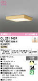 ODELIC �����ǥ�å� LED ����������󥰥饤�� OL251743R