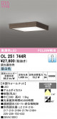 ODELIC �����ǥ�å� LED ����������󥰥饤�� OL251744R