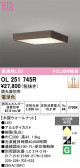 ODELIC �����ǥ�å� LED ����������󥰥饤�� OL251745R