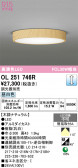 ODELIC �����ǥ�å� LED ����������󥰥饤�� OL251746R