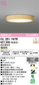 ODELIC �����ǥ�å� LED ����������󥰥饤�� OL251747R