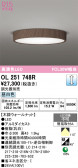 ODELIC �����ǥ�å� LED ����������󥰥饤�� OL251748R