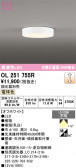 ODELIC �����ǥ�å� LED ����������󥰥饤�� OL251755R