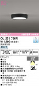 ODELIC �����ǥ�å� LED ����������󥰥饤�� OL251756R