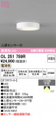 ODELIC �����ǥ�å� LED ����������󥰥饤�� OL251759R