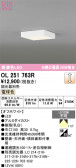 ODELIC �����ǥ�å� LED ����������󥰥饤�� OL251763R