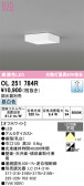 ODELIC �����ǥ�å� LED ����������󥰥饤�� OL251784R