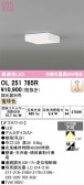 ODELIC �����ǥ�å� LED ����������󥰥饤�� OL251785R