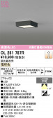 ODELIC �����ǥ�å� LED ����������󥰥饤�� OL251787R