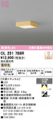 ODELIC �����ǥ�å� LED ����������󥰥饤�� OL251789R