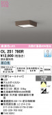 ODELIC �����ǥ�å� LED ����������󥰥饤�� OL251790R
