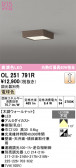 ODELIC �����ǥ�å� LED ����������󥰥饤�� OL251791R