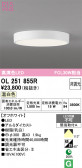 ODELIC �����ǥ�å� LED ����������󥰥饤�� OL251855R