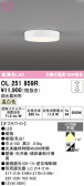ODELIC �����ǥ�å� LED ����������󥰥饤�� OL251859R