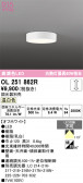 ODELIC �����ǥ�å� LED ����������󥰥饤�� OL251862R
