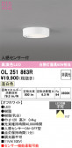 ODELIC �����ǥ�å� LED ����������󥰥饤�� OL251863R