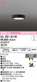 ODELIC �����ǥ�å� LED ����������󥰥饤�� OL251871R