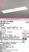 ODELIC �����ǥ�å� LED ����Ѿ������ͶƳ����� XR507011R5B