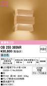 ODELIC �����ǥ�å� LED �֥饱�å� OB255365NR