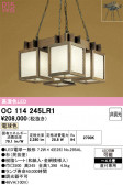 ODELIC �����ǥ�å� LED �ڥ����ȥ饤�� OC114245LR1